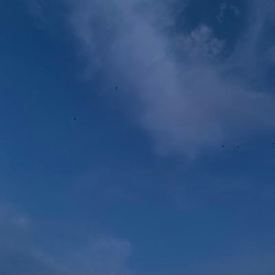 _foryourpage__'s profile picture. 