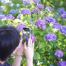 manamuiroha's profile picture. IOS  日々散歩！     どすこい塾