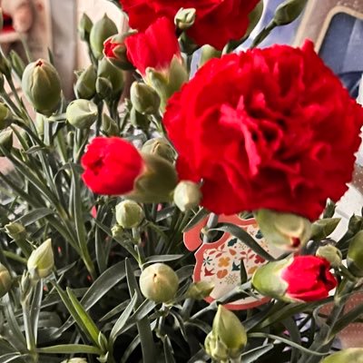 _tama_5_aaa's profile picture. 無言フォロー失礼します。とっくに成人済。aaa🐺🐶と🦊🌸。HR🍺🍕の🍃🌹。🗼卍🐺❄️。基本全員愛おしい。 ※中の人も.5も。※ごちゃまぜ壁打ち拝読用です。