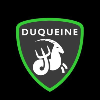 duqueine_team Profile Picture