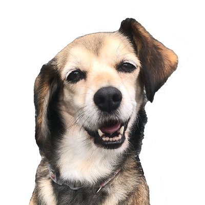 stac2023stac's profile picture. 2023年10月5日(木)〜9日(祝月)築地本願寺ブディストホールにて公演
舞台「Stac」の公式Xです。