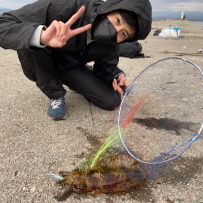 釣り歴4年、福島・宮城・新潟で釣り ショアの釣果、ヒラメ:51、マゴチ:64、シーバス:77、イナダ:57、サゴシ:55、アジ:38、サバ:45、キス:21、シタビラメ:42、ショゴ:25、アオリイカ:36(1.76Kg )、イシモチ:30、タチウオ:117、カマス:37、キジハタ:26