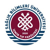 sbuizmirtip (@sbuizmirtip) 's Twitter Profile