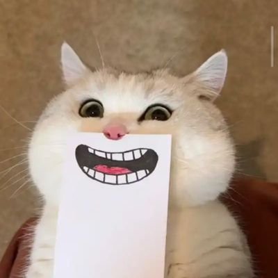 Jdjd86274297's profile picture. 天雨虽宽，不润无根之草；佛门广大，不渡无缘之人