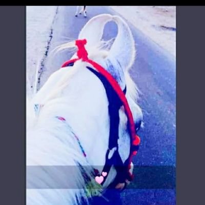 AMARSINH__JI's profile picture. Great Things Always takes time...