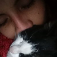 🌻 Jιɱҽ HσɳWσɳ 🌻 (@chasquijimebe) 's Twitter Profile