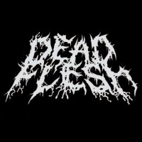 DeadFlesh(@DeadFleshUK) 's Twitter Profile Photo