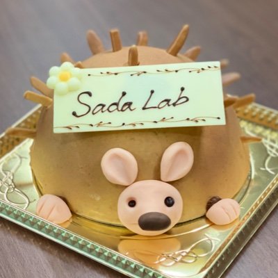 Sada Lab @ MiB, Kyushu Univ