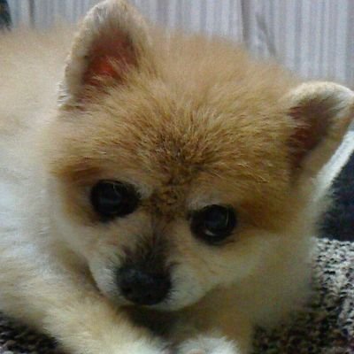 アトレチコ鈴鹿好きで
レイラック滋賀も好き
実は飛鳥FCも好き
レイラック滋賀♯16鈴木翔太選手の個サポ🔥
知人のいる社会人チームも応援中🔥
たまに選手の絵を描きます✏️が、上手くないので修行中
選手の写真撮るのにハマってます📷が、やっぱり修行中