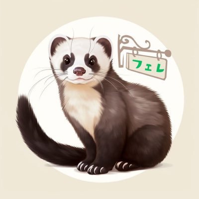 Ferret422 Profile Picture