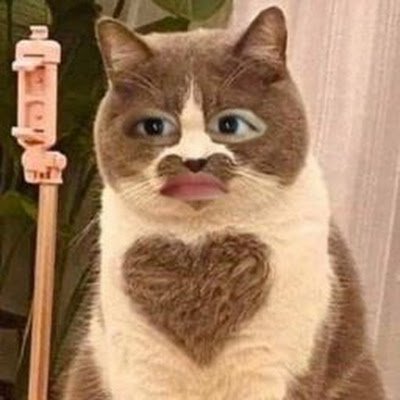 ArunwilaiW56940's profile picture. 