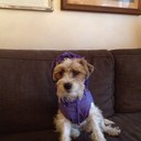 karin lutz - @lutz_karin - Twitter