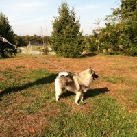 Doug Davis (@grumpy6767) 's Twitter Profile