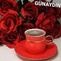 olgun adam (@mete7489509) 's Twitter Profile
