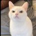 Answer me (@bigblackbeaverz) Twitter profile photo Answer me (@bigblackbeaverz) Twitter profile photo