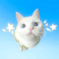 ꒰ঌ汐華໒꒱ (@tako_pudding) 's Twitter Profile