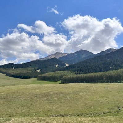 Raneyz2t6dd's profile picture. M9SSKLBD