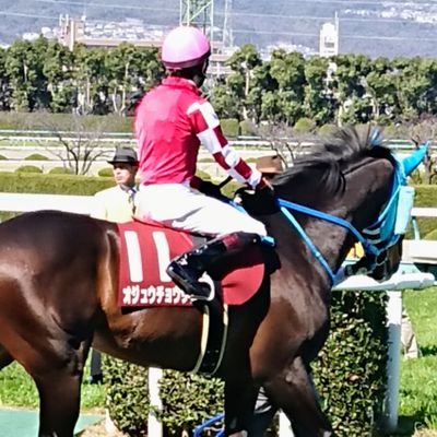 mitiyokana's profile picture. 最近、馬の綺麗さ可愛さ格好よさに嵌まってます。水族館、動物園も大好きよ！あっ！聖飢魔IIもたいへん好きです。