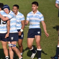 Adney Reid (@adney_reid) 's Twitter Profile