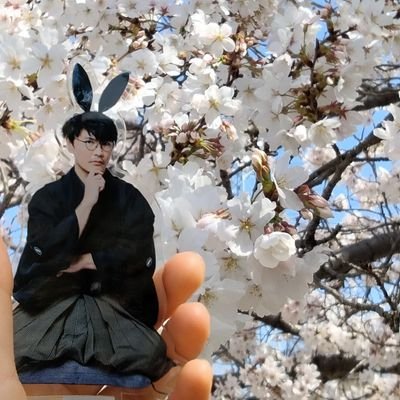 sakana_ashu1025's profile picture. 魚民。無言フォロー失礼します🙏 名前変えました。