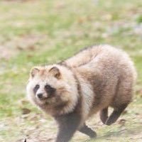 MonouTou's profile picture. 某小号 偶尔营业 中文/日本語/English OK ようよし推し/曜善推 朱夏人/Liand 無言フォロー失礼します🙇