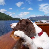 🐕🐶Caesar007🐶🐕 (@caesar2207) 's Twitter Profile
