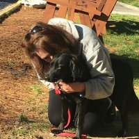 Maureen (@trumpgotgone) 's Twitter Profile