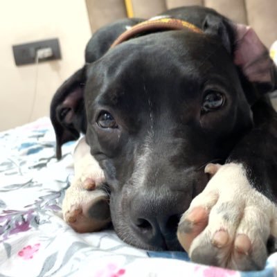 TanwarSweta's profile picture. 