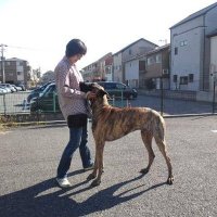 暖子 (@alenquer7) 's Twitter Profile