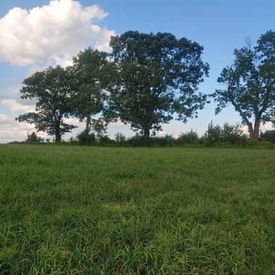 HonestCleanSVCS's profile picture. 