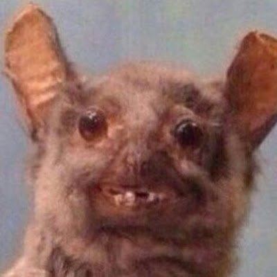 TanakoTosiro's profile picture. A programmer, a fetishist and just a bad person