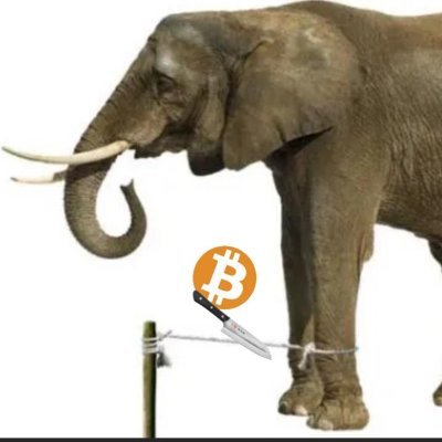 The Trading Tradesman.
Crypto Currency trader📈Investor💰 & ❄️HVAC☀️ Contractor all in one.