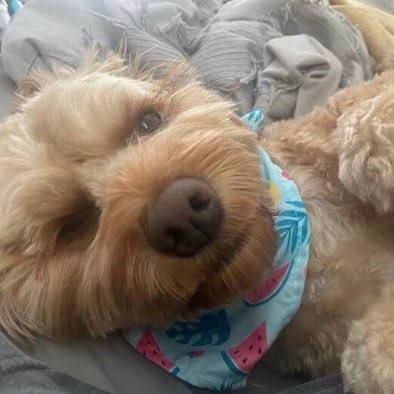 MartyJedy's profile picture. Living my Past and Focusing 🧘‍♀️ on my Future… Love 💕 Lead The Way