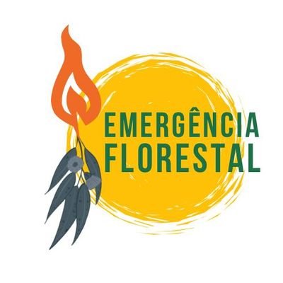 Estamos em estado de emergência! Décadas de abandono e eucaliptização deixaram o nosso território à beira de incêndios todos os anos. Temos de agir!