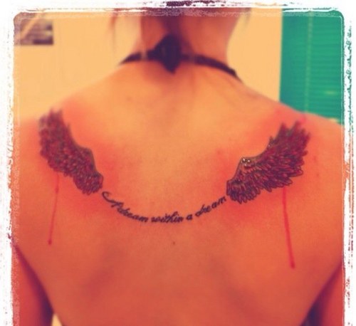 violetaonil's profile picture. 