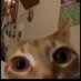 BaTTaM (@_battam_) Twitter profile photo BaTTaM (@_battam_) Twitter profile photo
