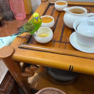 BaccJie's profile picture. 