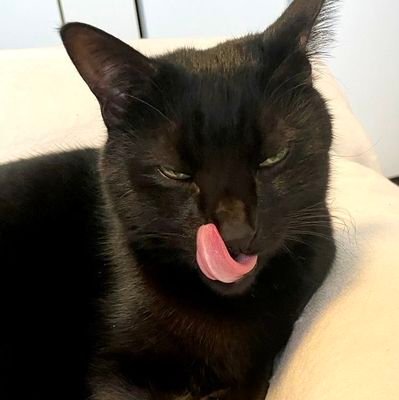 noidontwa's profile picture. ›20