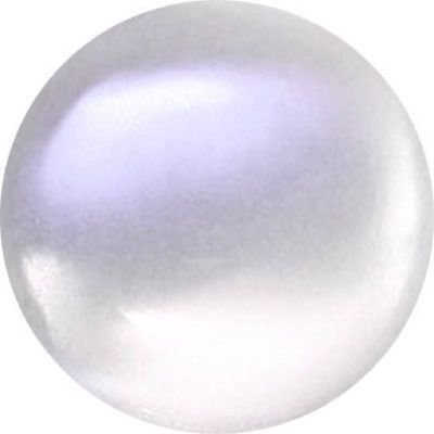 sstudytea's profile picture. 