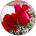 بسمة أمل (@asdf71276athir) Twitter profile photo بسمة أمل (@asdf71276athir) Twitter profile photo