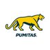 Los Pumitas (@lospumitasarg) Twitter profile photo