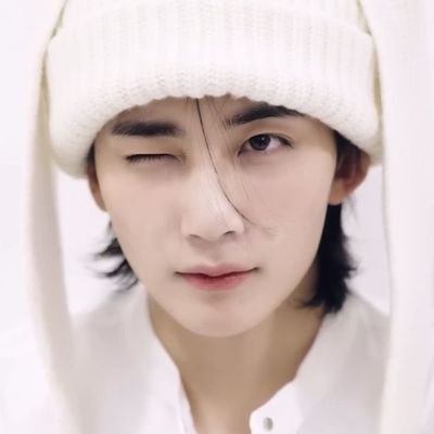 jeonghannicart Profile Picture