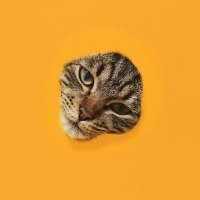 まるくみ (@teardrop_929) 's Twitter Profile