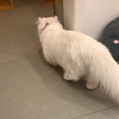 Nana23007724's profile picture. I’m 20 she/he/they