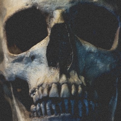 SKULL_Advocate Profile Picture