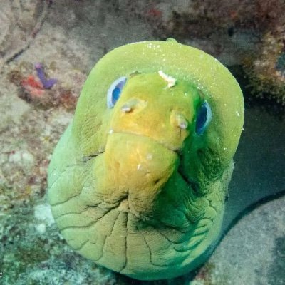 ThwackAtZero's profile picture. 