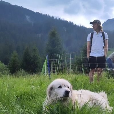 SaimenvSalis's profile picture. 