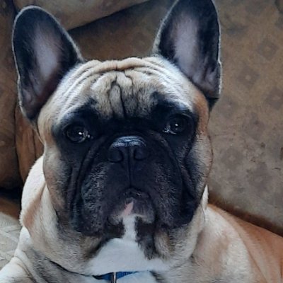 GaryWal21291473's profile picture. Ever learning Day trader.
Pro choice for liberals, it's mostly them.