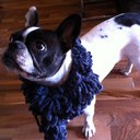 Erika Garcia - @Kitty_Moreno_G - Twitter