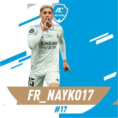 | 🇫🇷 Fr_Nayko17 Profile